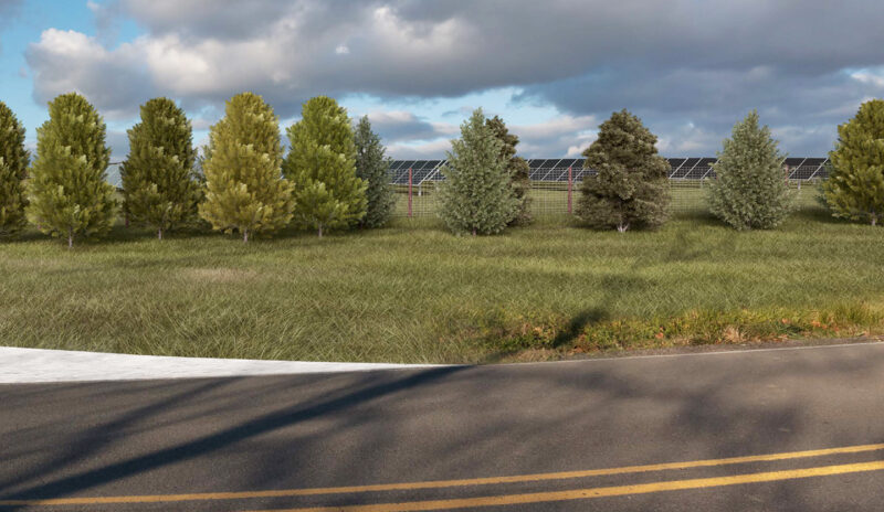 Vegetation screening: A key strategy for securing solar energy development permits.